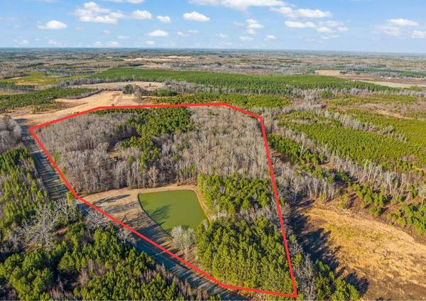 00 Willards Mill Road, Nelson, VA 24580