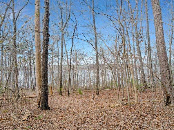 Sunset Boulevard, Clarksville, VA 23927