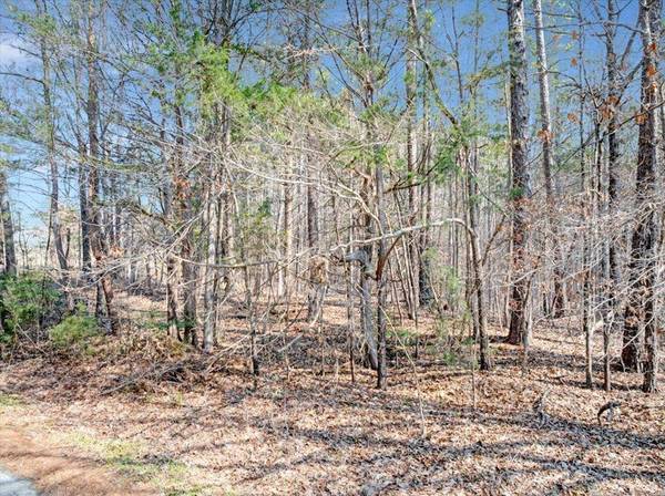 136 Lakefront Drive, Clarksville, VA 23927