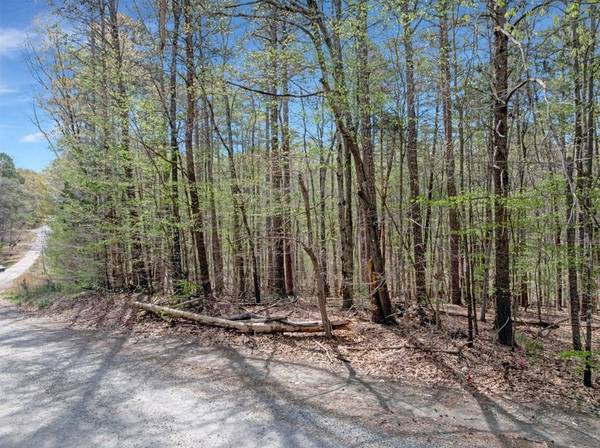 Seven Oaks Drive, Clarksville, VA 23927