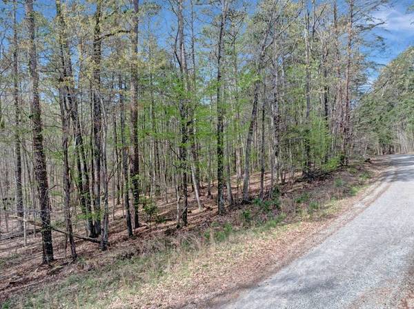 Seven Oaks Drive, Clarksville, VA 23927