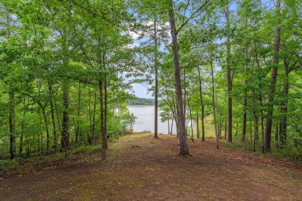 263 Meadowlark Lane, Buffalo Junction, VA 24569