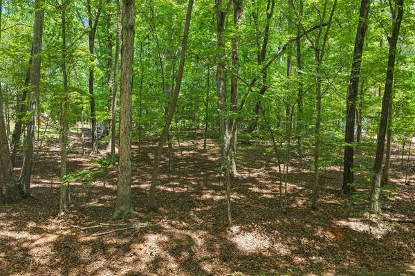 313 Lakepointe Drive, Clarksville, VA 23927
