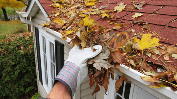 5 Essential Fall Home Maintenance Tips for Dayton Homeowners
