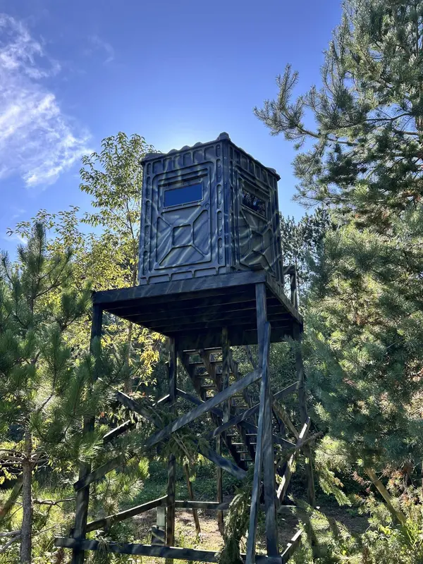 2554 Lee Derrer Road, Mancelona, MI 49659