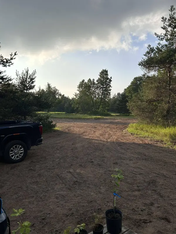 2554 Lee Derrer Road, Mancelona, MI 49659