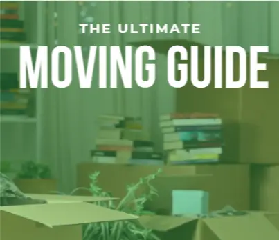 Screenshot 2026-03-19 103237