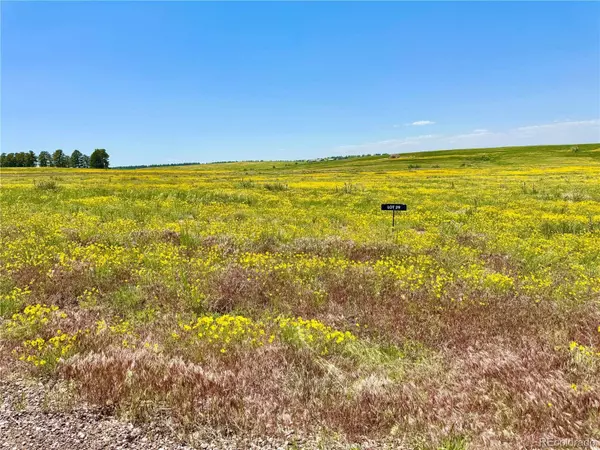 0 Wendling Trail Lot 29, Kiowa, CO 80117