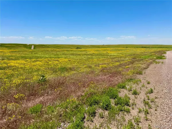 0 Wendling Trail Lot 29, Kiowa, CO 80117