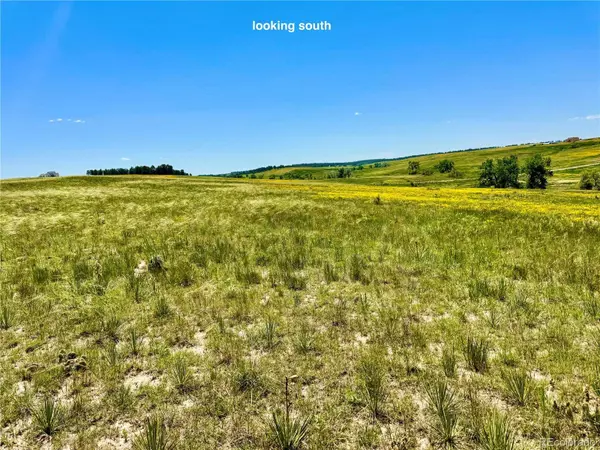 0 Wendling Trail Lot 29, Kiowa, CO 80117