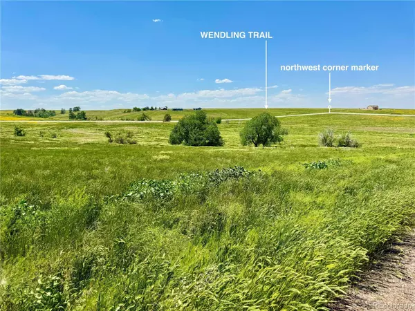 0 Wendling Trail Lot 61, Kiowa, CO 80117