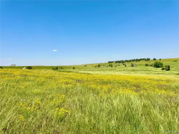 0 Wendling Trail Lot 61, Kiowa, CO 80117
