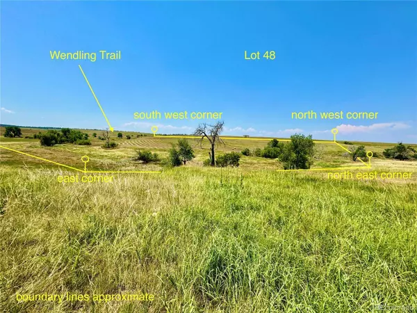 Wendling Trail Lot 48, Kiowa, CO 80117
