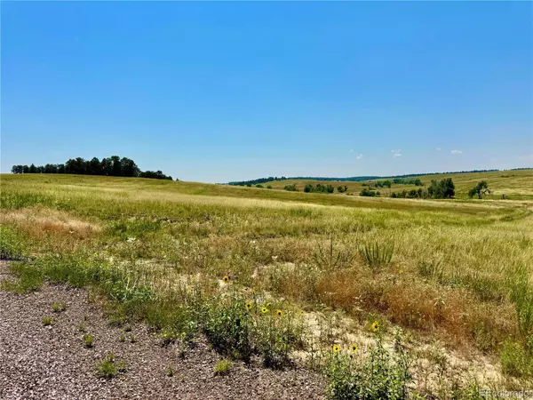 Stillness Loop Lot 41, Kiowa, CO 80117