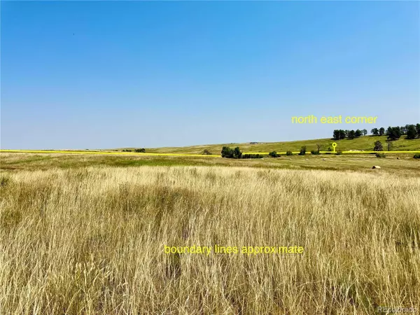 Wendling Trail Lot 48, Kiowa, CO 80117