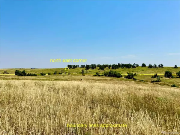 Wendling Trail Lot 48, Kiowa, CO 80117