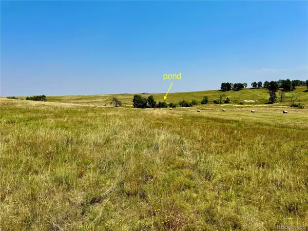 Wendling Trail Lot 48, Kiowa, CO 80117
