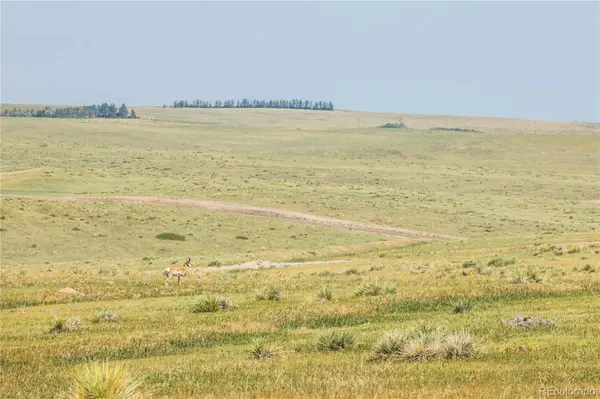 0 Wendling Trail Lot 50, Kiowa, CO 80117