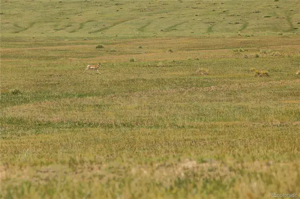 0 Wendling Trail Lot 50, Kiowa, CO 80117