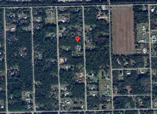 1166 SHERWOOD ST, Bunnell, FL 32110