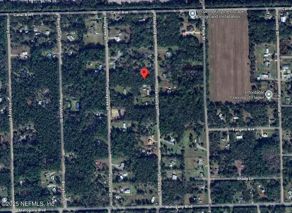 1166 SHERWOOD ST, Bunnell, FL 32110