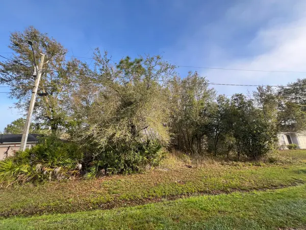 719 Pelican Ct, Kissimmee, FL 34759-4540