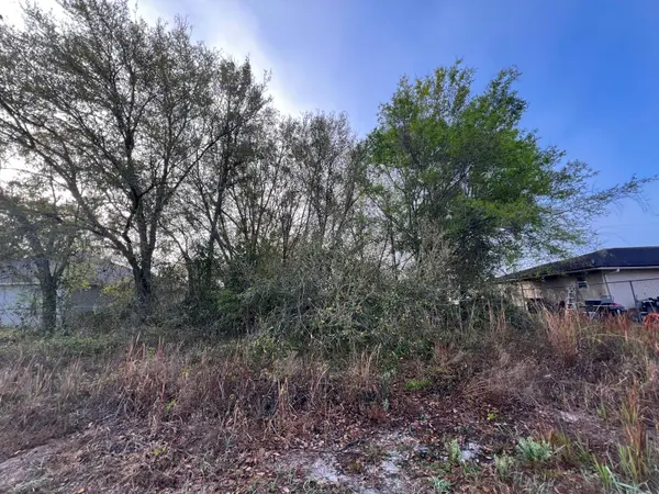 719 Pelican Ct, Kissimmee, FL 34759-4540