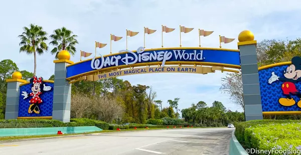 feature image of The Ultimate Guide to Orlando’s Top Theme Parks and Attractions