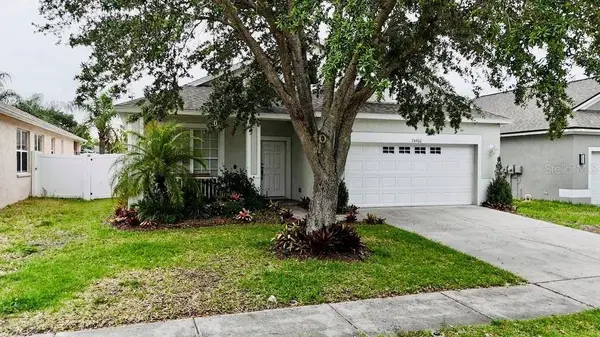 24900 OAKHAVEN CT, Lutz, FL 33559