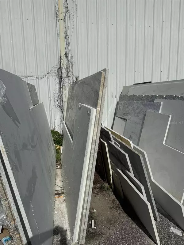 Safety Harbor, FL 34695