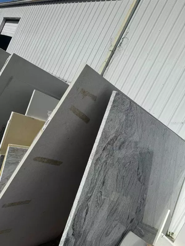 Safety Harbor, FL 34695