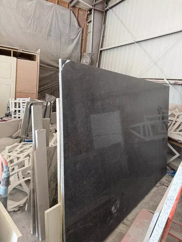 Safety Harbor, FL 34695