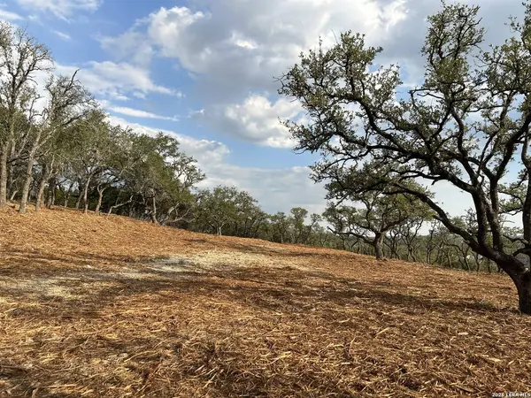 34780 Ansley Ridge, Bulverde, TX 78163