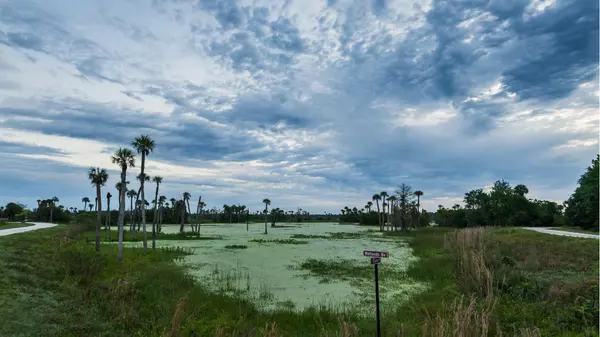 Outdoor Enthusiast’s Guide to Orlando: Parks, Lakes, and Recreational Spaces