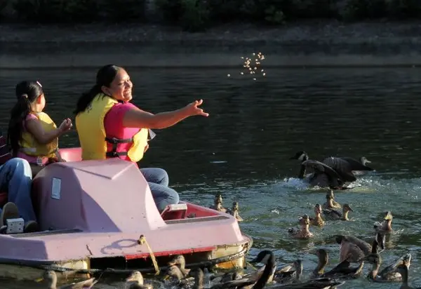 Best Outdoor Things to Do with Kids in Raleigh, NC This Spring,Marinus Leach