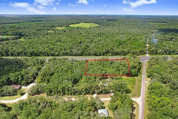 US HWY 19, Fanning Springs, FL 32693