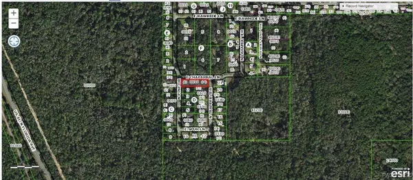4311 N Pine DR, Hernando, FL 34442