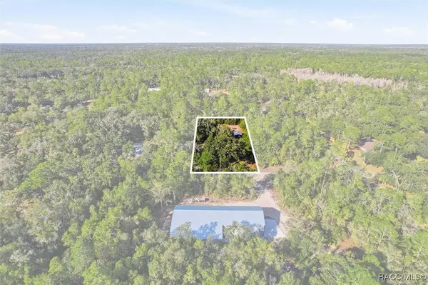 11905 W Caladium ST, Crystal River, FL 34428