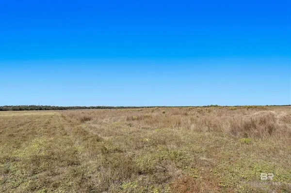 14833 County Road 91, Lillian, AL 36549