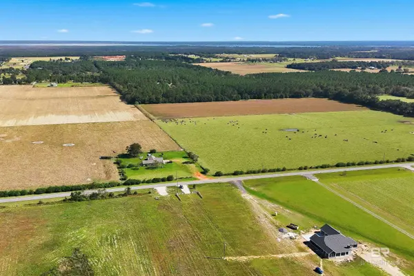 14833 County Road 91, Lillian, AL 36549