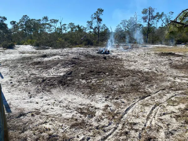 3216 FLATBUSH AVE, Lake Placid, FL 33852