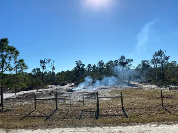 3216 FLATBUSH AVE, Lake Placid, FL 33852