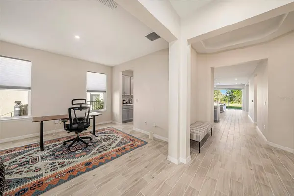 33410 CASTAWAY LOOP, Wesley Chapel, FL 33543