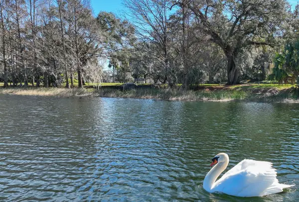 feature image of Orlando ofrece $45,000 a compradores de casas nuevas en barrios históricos