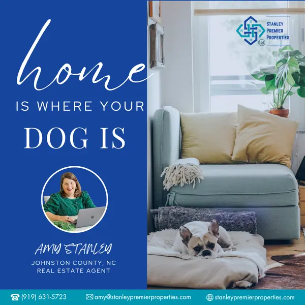 Finding a Pet-Friendly Home Everyone Will Love