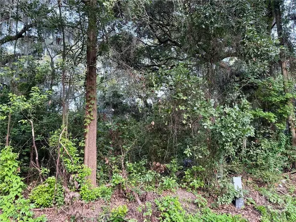 0 Albert ST, Savannah, GA 31406