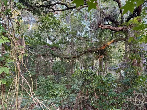 0 Albert ST, Savannah, GA 31406