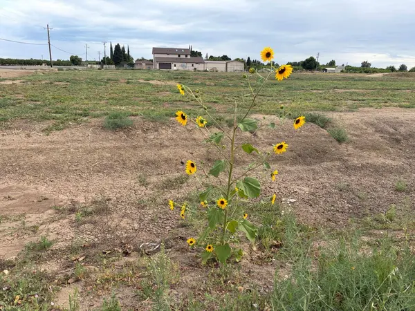 4030 Markley RD, Yuba City, CA 95993