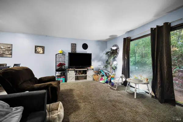 25248 Robinson RD, Willits, CA 95490