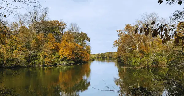The Pros and Cons of Living in South Knoxville